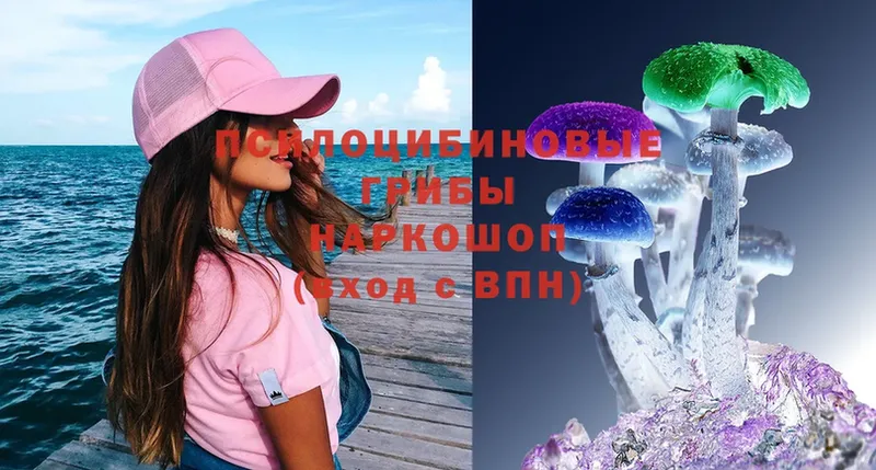 Псилоцибиновые грибы MAGIC MUSHROOMS  Трубчевск 